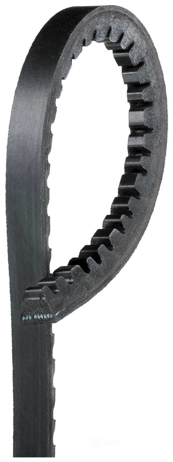 7380 Accessory Drive Belt (without a/c, position: Power steering) – Bild 1